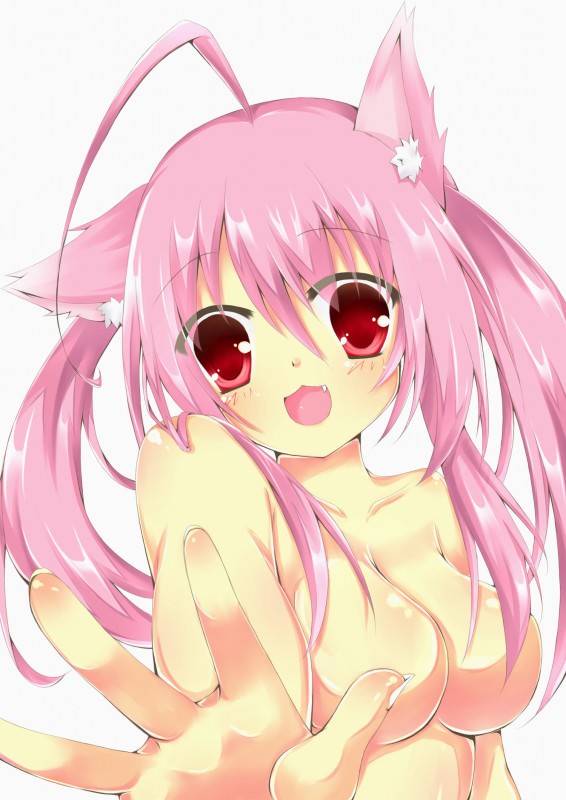  ,  ,    ,      .       ,       